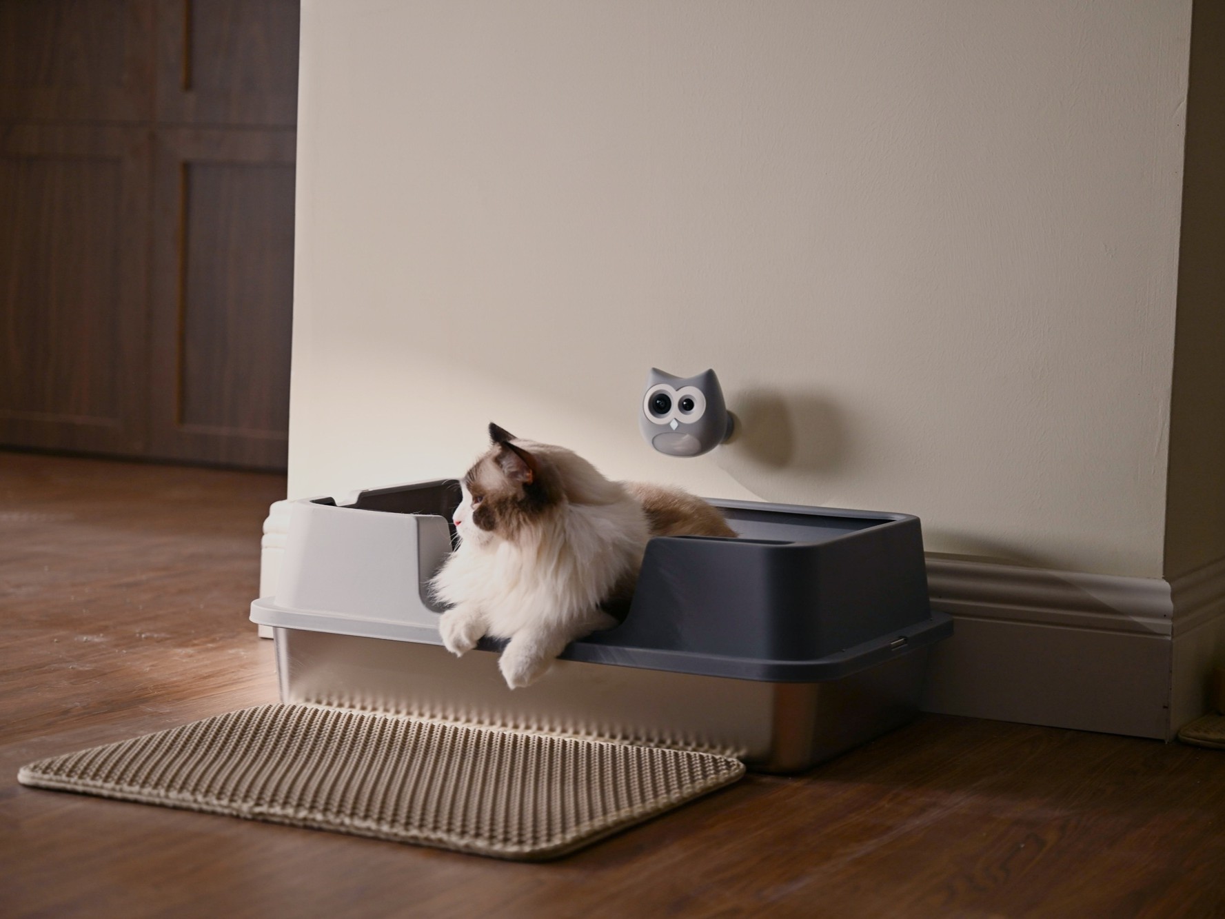 LitterLens smart litter box camera mounted by box with cat inside
