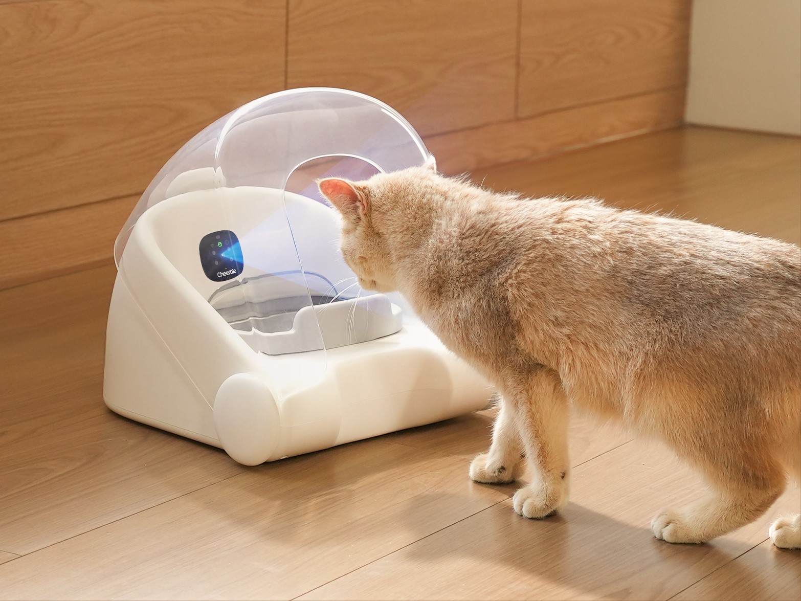 Cheerbly Match G1 smart cat feeder with AI facial recognition scanning